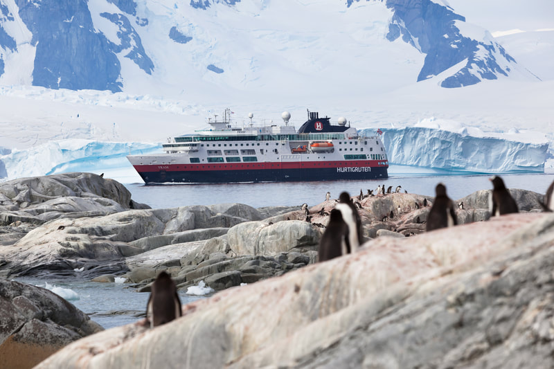 penguins on shore looking over at cruise ship, glaciers in background